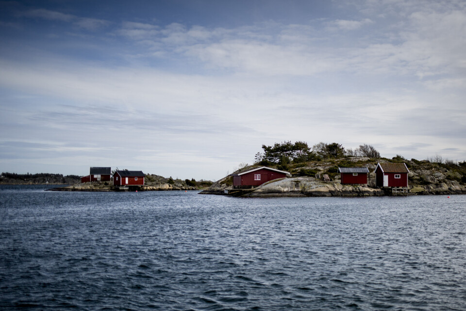 Hvaler. Foto: Magnus Knutsen Bjørke Hvaler. Foto: Magnus Knutsen Bjørke