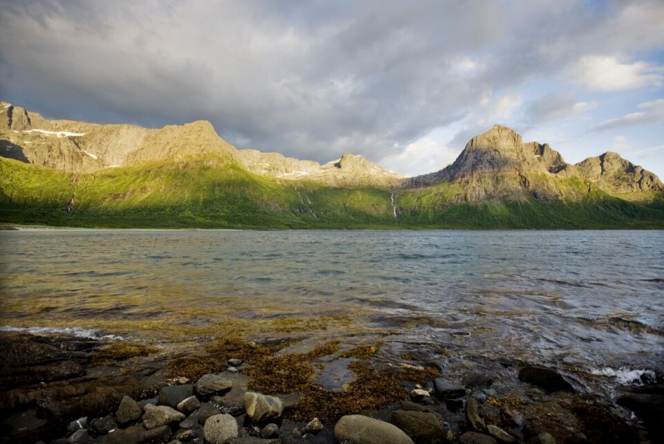 Innbyggerne i Steigen kommune vil ikke slå seg sammen med Bodø. Arkivfoto: Kyrre Lien, NTB Scanpix Innbyggerne i Steigen kommune vil ikke slå seg sammen med Bodø. Arkivfoto: Kyrre Lien, NTB Scanpix