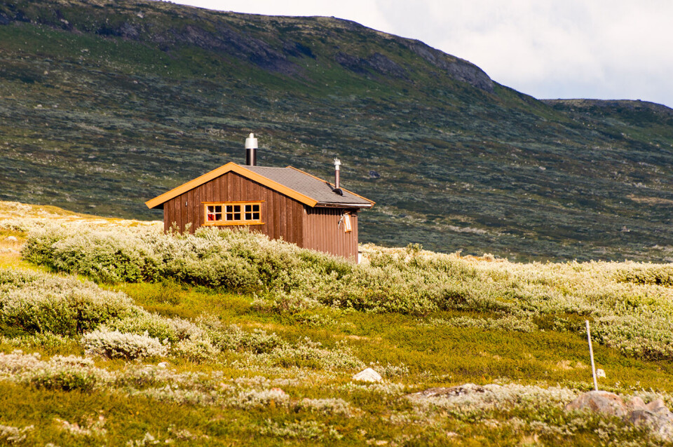 Illustrasjonsfoto: Colourbox.com Illustrasjonsfoto: Colourbox.com