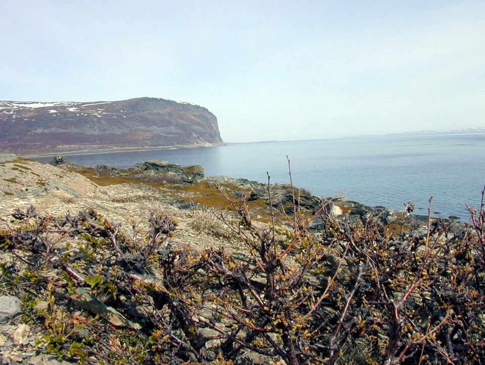 Porsangerfjorden. Foto: Tore Sannum NTB scanpix Porsangerfjorden. Foto: Tore Sannum NTB scanpix