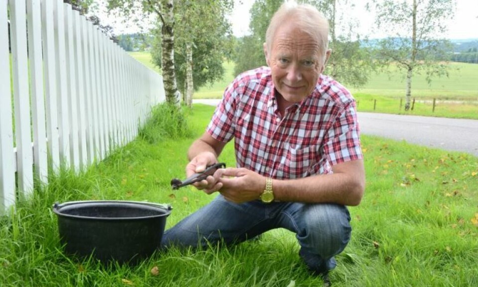 Snegler og sand har gitt Re-ordfører Thorvald Hillestad oppmerksomhet i mediene. I sommer pustet VG liv i sneglesaken igjen. Foto: Henrik Bøe/NRK. Snegler og sand har gitt Re-ordfører Thorvald Hillestad oppmerksomhet i mediene. I sommer pustet VG liv i sneglesaken igjen. Foto: Henrik Bøe/NRK.