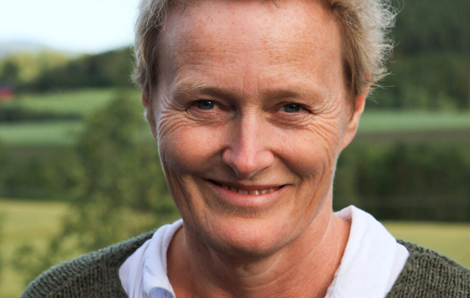 Ordfører Hanne Davidsen i Nesna kommune. Foto: Halvor Hilmersen/commons.wikimedia.org Ordfører Hanne Davidsen i Nesna kommune. Foto: Halvor Hilmersen/commons.wikimedia.org