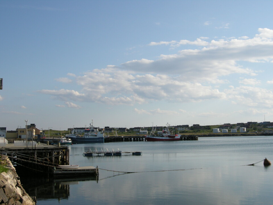 Store Ekkerøy i Vadsø er en av havnene hvor salgsprosessen er innstilt. Bildet er fra Vadsø Havn Kf. Foto: Solveig Vikene / NTB scanpix Store Ekkerøy i Vadsø er en av havnene hvor salgsprosessen er innstilt. Bildet er fra Vadsø Havn Kf. Foto: Solveig Vikene / NTB scanpix