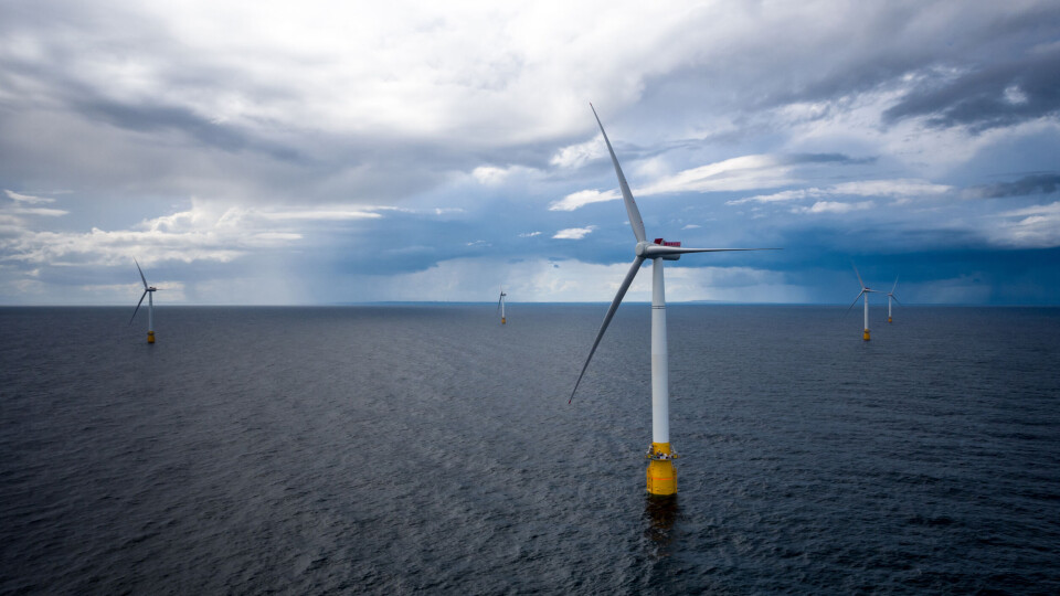 Havforskningsinstituttet fraråder bygging av havvindmøller utenfor Hammerfest. Her et bilde av Equinors Hywind Buchan vindmølleanlegg utenfor Skottland. Illustrasjonsfoto: Øyvind Gravås / Equinor / NTB scanpix Havforskningsinstituttet fraråder bygging av havvindmøller utenfor Hammerfest. Her et bilde av Equinors Hywind Buchan vindmølleanlegg utenfor Skottland. Illustrasjonsfoto: Øyvind Gravås / Equinor / NTB scanpix