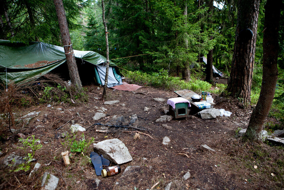 Romleir på Sognsvann i Oslo. Foto: Anette Karlsen / NTB scanpix Romleir på Sognsvann i Oslo. Foto: Anette Karlsen / NTB scanpix