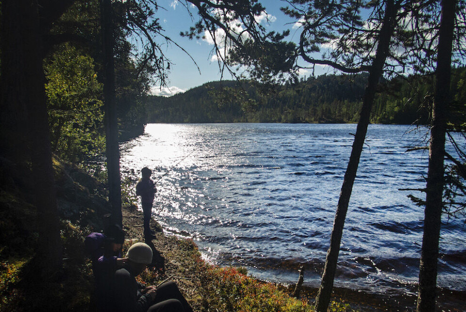 Statskog har siden 2011 solgt mange eiendommer og eier i dag skog i 44 prosent av norske kommuner. Det bekymrer Norges Jeger- og Fiskerforbund, som frykter mange ikke har tilgang til friluftsliv. Foto: Gorm Kallestad, NTB scanpix Statskog har siden 2011 solgt mange eiendommer og eier i dag skog i 44 prosent av norske kommuner. Det bekymrer Norges Jeger- og Fiskerforbund, som frykter mange ikke har tilgang til friluftsliv. Foto: Gorm Kallestad, NTB scanpix