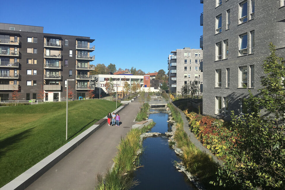 Oslo kommune har åpnet Hovinbekken og laget vannspeil for å ta unna overvann. Foto: Tone Holmquist Oslo kommune har åpnet Hovinbekken og laget vannspeil for å ta unna overvann. Foto: Tone Holmquist