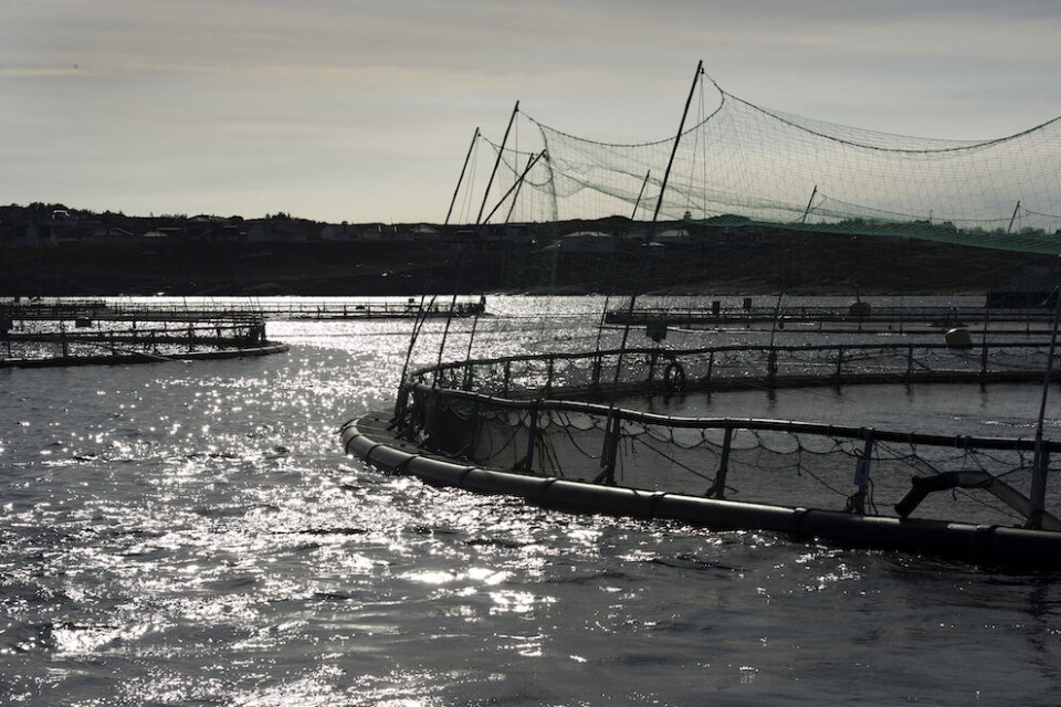 Nesten 40 prosent av kommunene hadde drevet med underskudd uten utbetalingen fra Havbruksfondet, påpeker OIe Petter Pedersen. Illustrasjonsfoto: Marit Hommedal, NTB scanpix Nesten 40 prosent av kommunene hadde drevet med underskudd uten utbetalingen fra Havbruksfondet, påpeker OIe Petter Pedersen. Illustrasjonsfoto: Marit Hommedal, NTB scanpix
