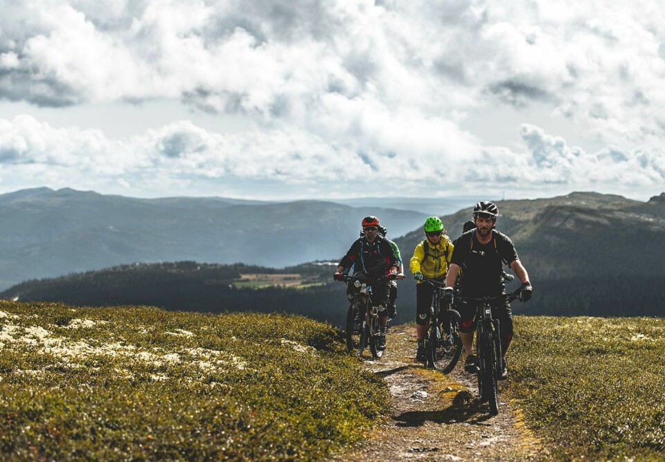 På Ringebufjellet kan du dra på guidede sykkeltur i sommer. På Ringebufjellet kan du dra på guidede sykkeltur i sommer.
