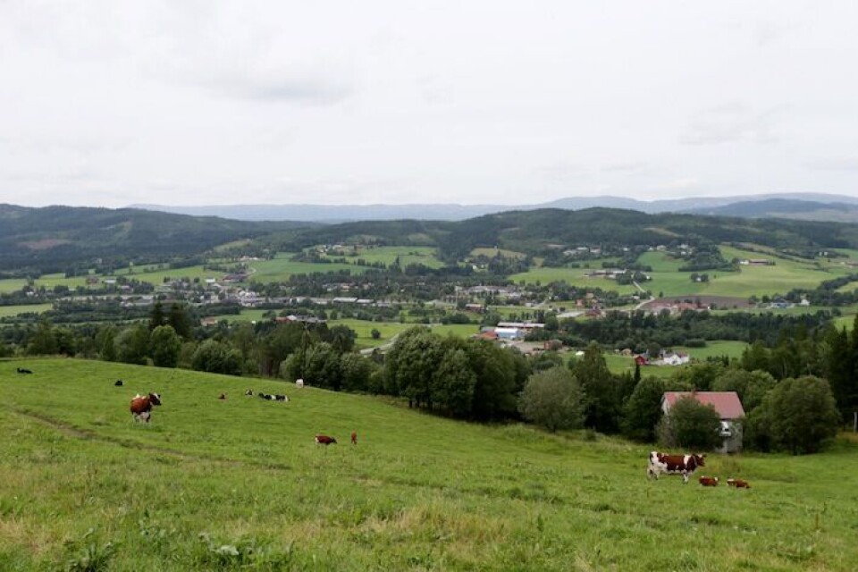 Høylandet i Trøndelag er én av kommunene der under halvparten av innbyggerne er vaksinert. Høylandet i Trøndelag er én av kommunene der under halvparten av innbyggerne er vaksinert.