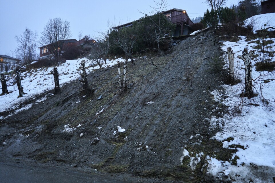 Det har gått flere små jordskred i Bergslia i Meldal kommune. Dette bildet er tatt etter ekstremværet Gyda 13. januar i år. Det har gått flere små jordskred i Bergslia i Meldal kommune. Dette bildet er tatt etter ekstremværet Gyda 13. januar i år.