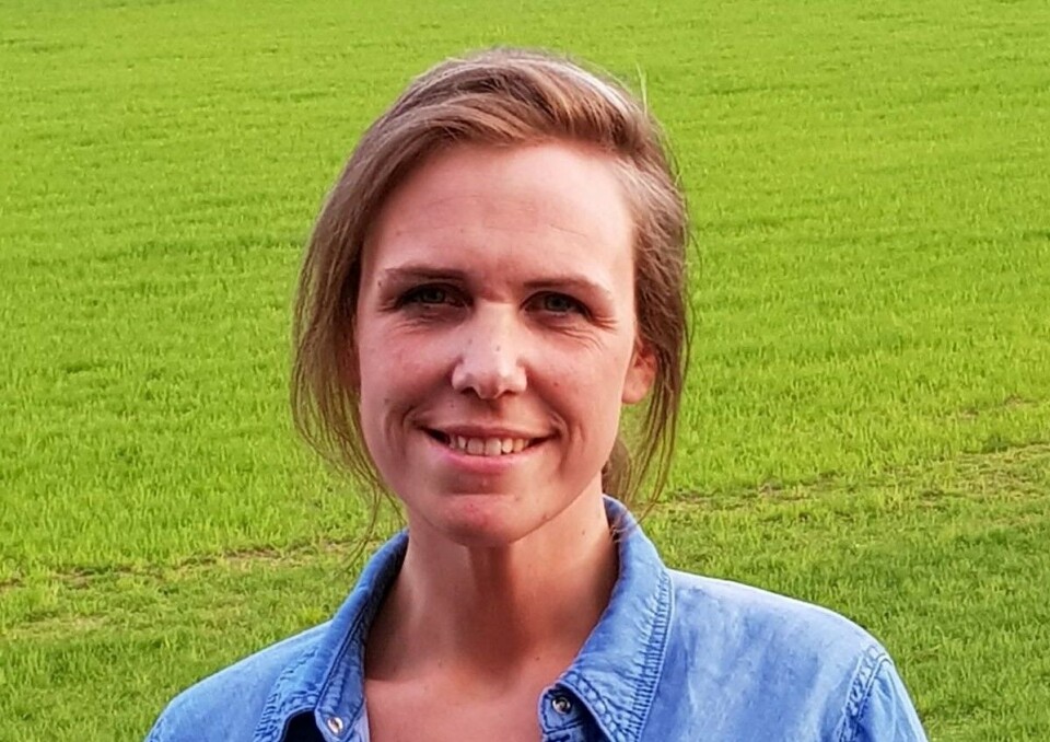 Valgperiode fylt med krangel: I disse kommunene fikk ordførerne nok Ordfører Astrid Skomakerstuen (Uavhengig) ble så skuffet over eget parti at hun valgte å trekke sitt medlemskap i Ap.