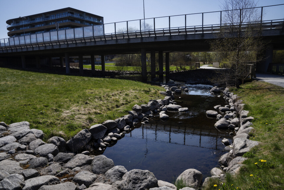 Klimatilpasninger i Stavanger. Naturbasert løsning for håndtering av overvann. Klimatilpasninger i Stavanger. Naturbasert løsning for håndtering av overvann.