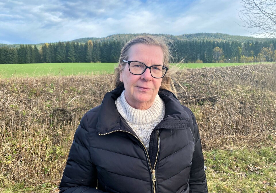 Hilde Thorkildsen ble valgt til ordfører i Nittedal i 2011. Hun har vært suspendert i forbindelse med korrupsjonssaken, der hun ble frifunnet. Nå gir hun seg i kommunepolitikken. Hilde Thorkildsen ble valgt til ordfører i Nittedal i 2011. Hun har vært suspendert i forbindelse med korrupsjonssaken, der hun ble frifunnet. Nå gir hun seg i kommunepolitikken.