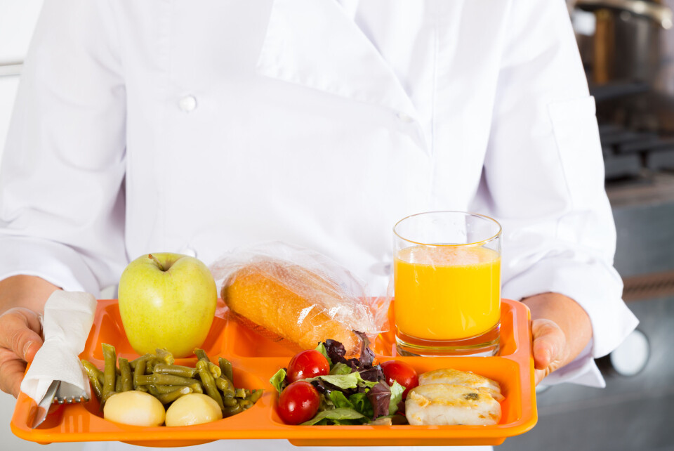 Offentlig tilskudd til skolene kan ikke brukes til å servere elvene mat, konkluderer Statsforvalteren i Oslo og Viken. Offentlig tilskudd til skolene kan ikke brukes til å servere elvene mat, konkluderer Statsforvalteren i Oslo og Viken.