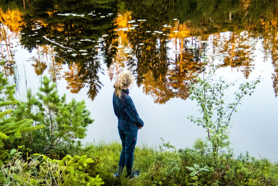 Barne-, ungdoms og familiedirektoratet (Bufdir) skal sammen med Helsedirektoratet se på hvordan barnevernstjenesten og helse- og omsorgstjenestene kan samarbeide for å gi barn og unge et godt og helhetlig tjenestetilbud. Barne-, ungdoms og familiedirektoratet (Bufdir) skal sammen med Helsedirektoratet se på hvordan barnevernstjenesten og helse- og omsorgstjenestene kan samarbeide for å gi barn og unge et godt og helhetlig tjenestetilbud.