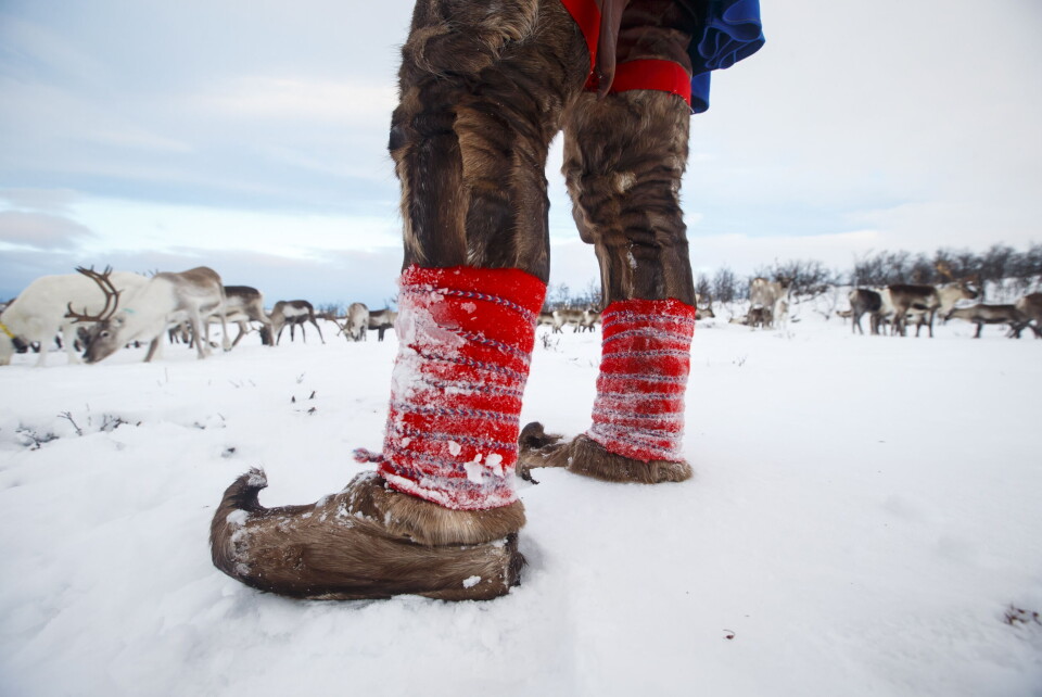Beiteressurser, jakt og fiske vil bli forvaltet lokalt av de som bor der, dersom dommen blir stående, og inntektene fra forvaltningen vil tilfalle lokalsamfunnet, skriver advokatene i Lund & Co. Beiteressurser, jakt og fiske vil bli forvaltet lokalt av de som bor der, dersom dommen blir stående, og inntektene fra forvaltningen vil tilfalle lokalsamfunnet, skriver advokatene i Lund & Co.