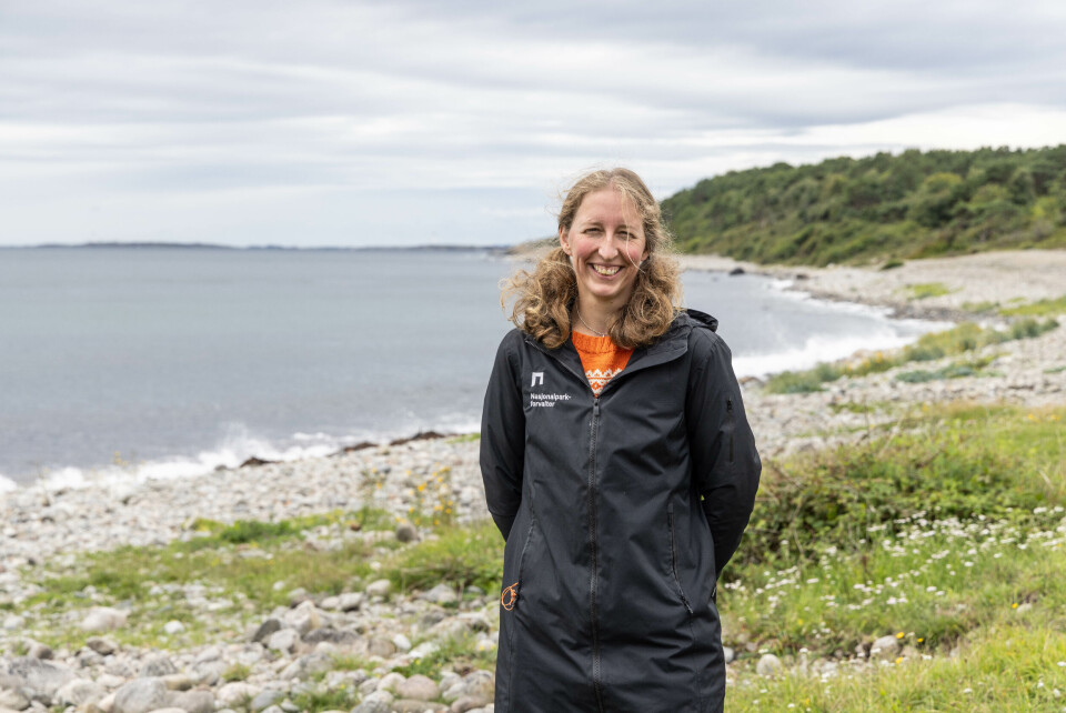 Arendal er mest klima- og naturvennlig Rullesteinsstranda på Spornes på utsiden av Tromøy er en del av Raet nasjonalpark. 287 ulike fuglearter, deriblant flere truede, er registrert i området, ifølge nasjonalparkforvalter Jenny Gulbrandsen.
