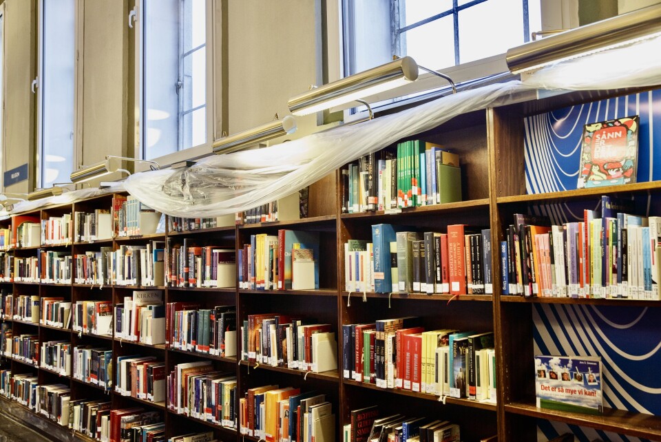 Tilgang på flere bøker øker leselysten hos skolebarn, viser en gjennomgang. Tilgang på flere bøker øker leselysten hos skolebarn, viser en gjennomgang.