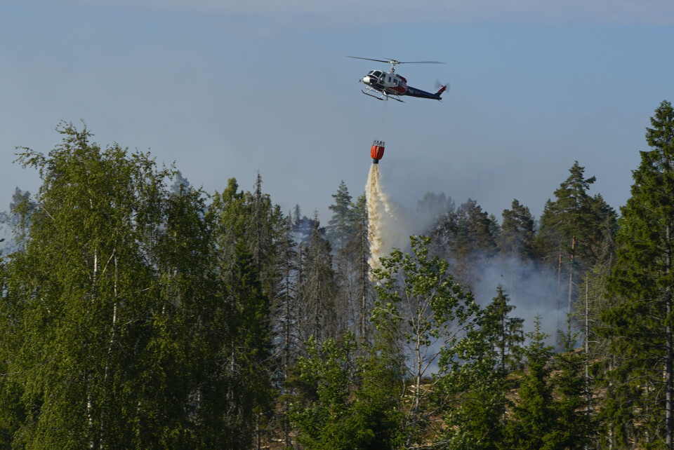 Rundt ett mål i et nyetablert hogstfelt i Vestby brant nylig. To helikoptre er i området for å bistå. Rundt ett mål i et nyetablert hogstfelt i Vestby brant nylig. To helikoptre er i området for å bistå.