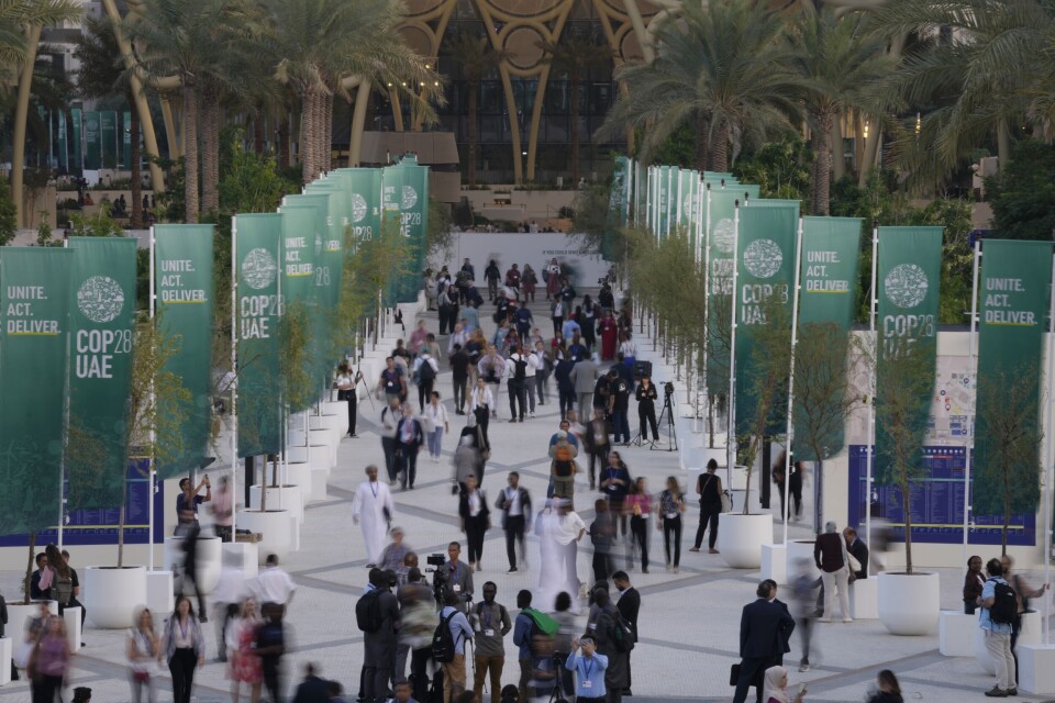 Det er viktig at statsminister Jonas Gahr Støre er på klimamøtet i Dubai og forteller om våre ambisjoner. Men det er viktigere at han innser at våre klimautfordringer må løses lokalt, skriver Øivind Brevik og Jill Johannessen. Det er viktig at statsminister Jonas Gahr Støre er på klimamøtet i Dubai og forteller om våre ambisjoner. Men det er viktigere at han innser at våre klimautfordringer må løses lokalt, skriver Øivind Brevik og Jill Johannessen.