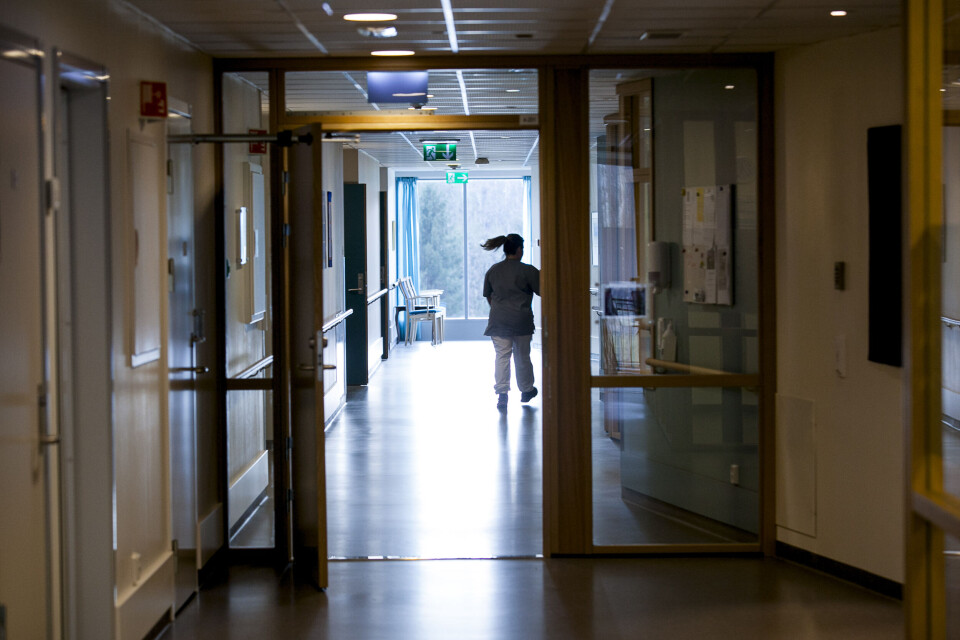 Ill.foto: Magnus Knutsen Bjørke Ill.foto: Magnus Knutsen Bjørke