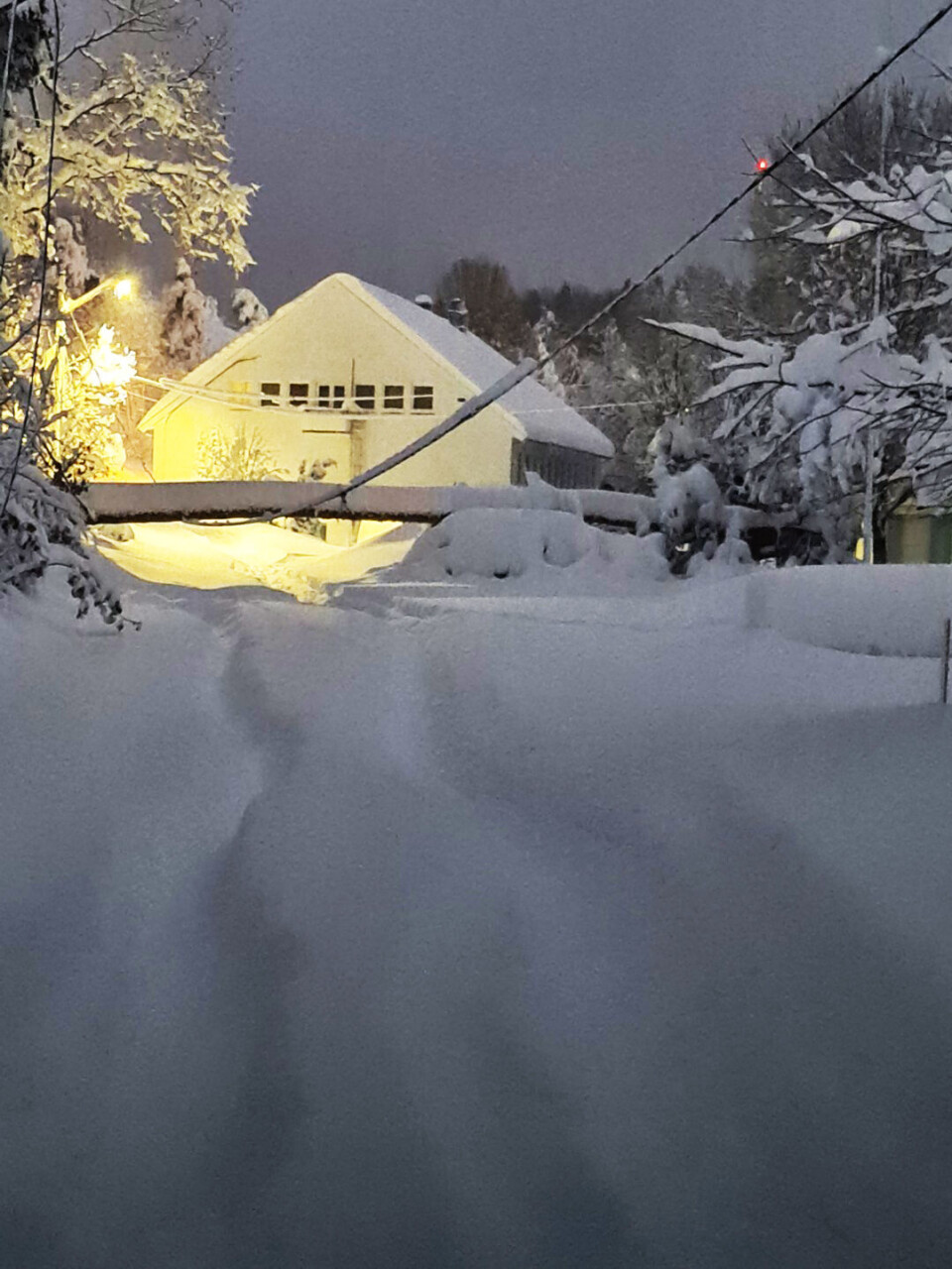 Kommunehuset i Risør ligger stille og nedsnødd. Kommunen prioriterer innbyggernes liv og helse istedet for å måke veien inn til kommunehuset og fjerne treet som har ramla der. Kommunehuset i Risør ligger stille og nedsnødd. Kommunen prioriterer innbyggernes liv og helse istedet for å måke veien inn til kommunehuset og fjerne treet som har ramla der.