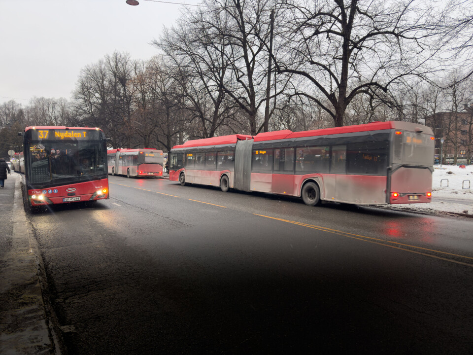 Reis-billetten hos kollektivselskapet Ruter beholdes i Oslo og Akershus ut året, men rabatten blir halvert, ifølge en avtale fylkeskommunene inngikk tirsdag. Reis-billetten hos kollektivselskapet Ruter beholdes i Oslo og Akershus ut året, men rabatten blir halvert, ifølge en avtale fylkeskommunene inngikk tirsdag.