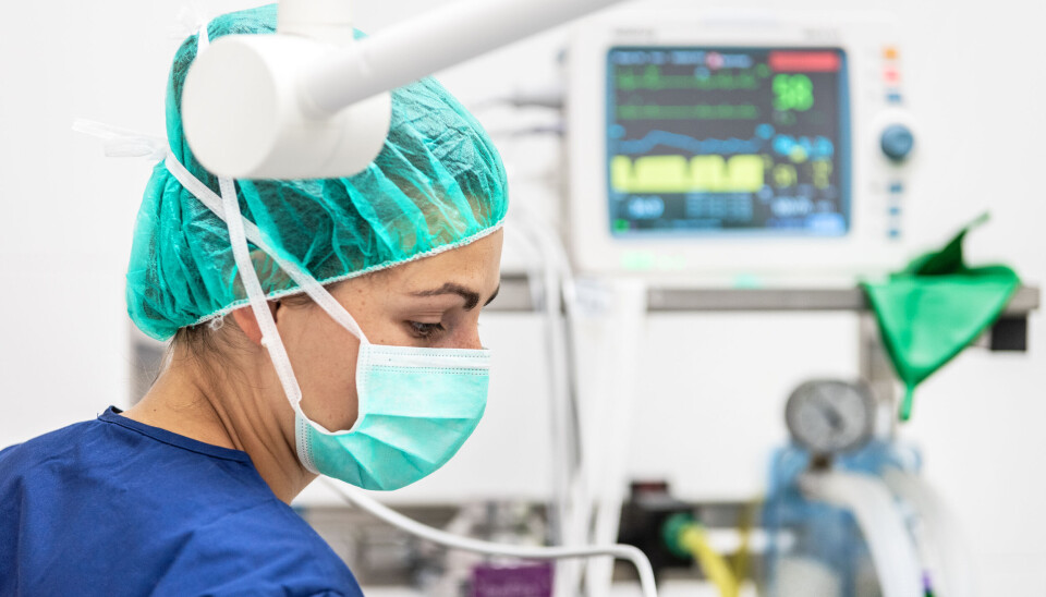 Aldri før har flere fått tilbud om studieplass på sykepleierstudiet. Samtidig er legeutdanningen fortsatt den vanskeligste å komme inn på