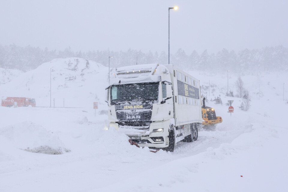Det er fortsatt så mye snø at det ikke er forsvarlig å ha skolene åpne. Torsdag stengte 13 videregående skoler, og noen av dem åpner heller ikke fredag. Det er fortsatt så mye snø at det ikke er forsvarlig å ha skolene åpne. Torsdag stengte 13 videregående skoler, og noen av dem åpner heller ikke fredag.