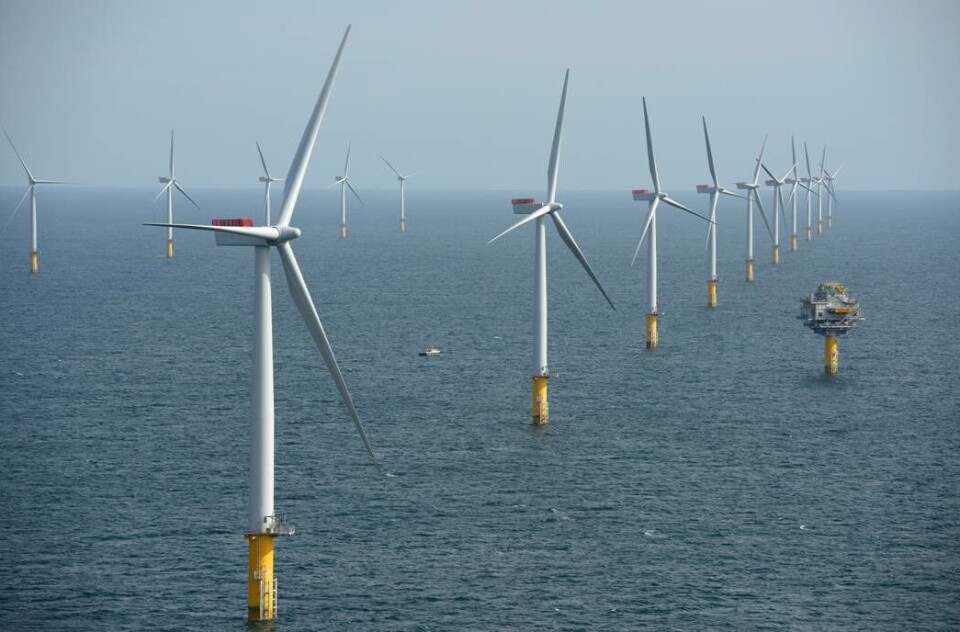 Dagens samfunn elektrifiseres i et voldsomt tempo. Vi trenger vindkraft til havs og til lands, solkraft og bedre utnyttelse av vannkraftverkene og satsing på umodne teknologier som bølge- og tidevannskraft., skriver Cecilie Bjelland. Dagens samfunn elektrifiseres i et voldsomt tempo. Vi trenger vindkraft til havs og til lands, solkraft og bedre utnyttelse av vannkraftverkene og satsing på umodne teknologier som bølge- og tidevannskraft., skriver Cecilie Bjelland.
