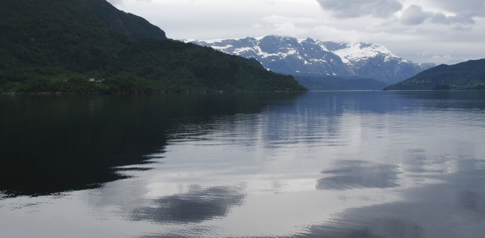 Ved Førdefjorden. Foto: Wikimedia Commons/SnowyM Ved Førdefjorden. Foto: Wikimedia Commons/SnowyM