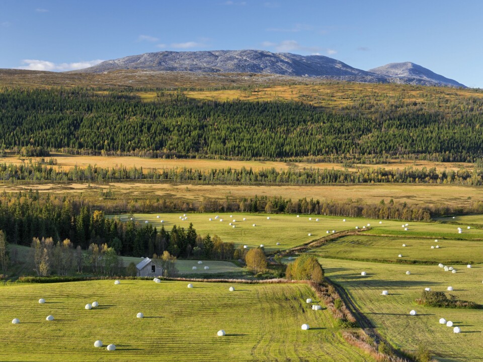 Karl Audun Fagerli, rådmann i spredtbygde Lierne i Nord-Trøndelag, mener det i kommunereformen bør fastsettes spilleregler for kommuner med store avstander. Foto: Bård Løken, NTB scanpix Karl Audun Fagerli, rådmann i spredtbygde Lierne i Nord-Trøndelag, mener det i kommunereformen bør fastsettes spilleregler for kommuner med store avstander. Foto: Bård Løken, NTB scanpix