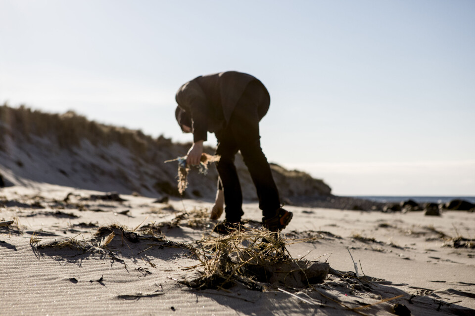 Flaskekorker og plastposer er blant verstingene som forsøpler norske strender. Flaskekorker og plastposer er blant verstingene som forsøpler norske strender.