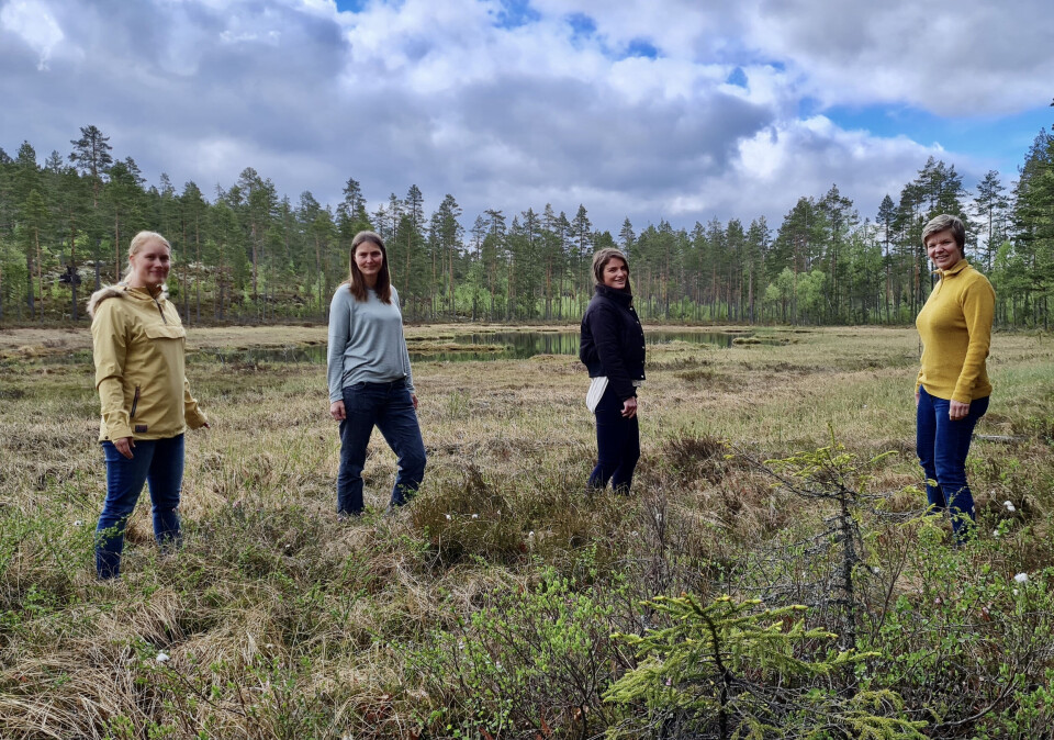 Kongsvinger kommune har fått 895.000 kroner til å kartlegge karbonrike arealer. Her noen av dem som deltar i arbeidet: Kjersti Enger Dybendal (klima- og miljørådgiver), Helene Kjeldsen (landskapsarkitekt og arealplanlegger), Fatlinda Ajvazi (jurist og rådgiver) og Anne Kjersti Briskerud (Smart-kommune rådgiver). Kongsvinger kommune har fått 895.000 kroner til å kartlegge karbonrike arealer. Her noen av dem som deltar i arbeidet: Kjersti Enger Dybendal (klima- og miljørådgiver), Helene Kjeldsen (landskapsarkitekt og arealplanlegger), Fatlinda Ajvazi (jurist og rådgiver) og Anne Kjersti Briskerud (Smart-kommune rådgiver).