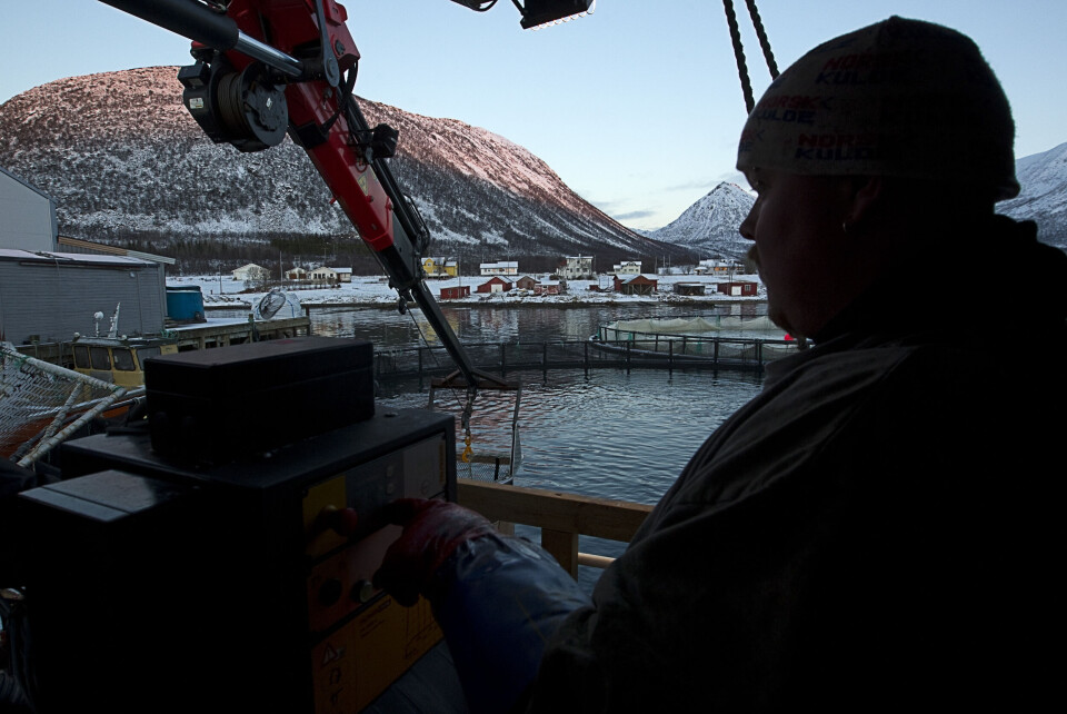 Havbruk er blant næringene som sysselsetter mange arbeidsinnvandrere. Kommuner som mangler folk, bør gjøre mer for å få dem til å bli, mener Distriktssenteret. Havbruk er blant næringene som sysselsetter mange arbeidsinnvandrere. Kommuner som mangler folk, bør gjøre mer for å få dem til å bli, mener Distriktssenteret.