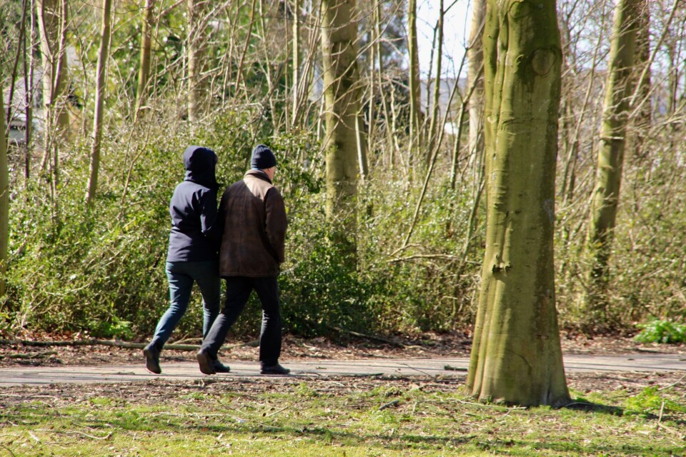 Nasjonalforeningen for folkehelsen, som driver tilbudet Aktivitetsvenn med hjelp av frivillige, oppfordrer kommunene til ikke å hoppe over organisasjonene når de vil øke den frivillige innsatsen. Illustrasjonsfoto: Clourbox Nasjonalforeningen for folkehelsen, som driver tilbudet Aktivitetsvenn med hjelp av frivillige, oppfordrer kommunene til ikke å hoppe over organisasjonene når de vil øke den frivillige innsatsen. Illustrasjonsfoto: Clourbox