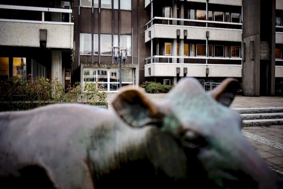Kommunesammenslåing krever svært mye lokalpolitisk lederskap. De kulturelle uttrykk som hersker på de enkelte kommunale arbeidsplassene, er dermed svært sentrale, mener skribentene. Illustrasjonsfoto: Magnus K. Bjørke Kommunesammenslåing krever svært mye lokalpolitisk lederskap. De kulturelle uttrykk som hersker på de enkelte kommunale arbeidsplassene, er dermed svært sentrale, mener skribentene. Illustrasjonsfoto: Magnus K. Bjørke