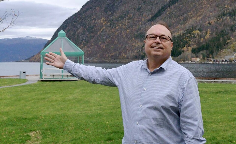 Rådmann i Vik