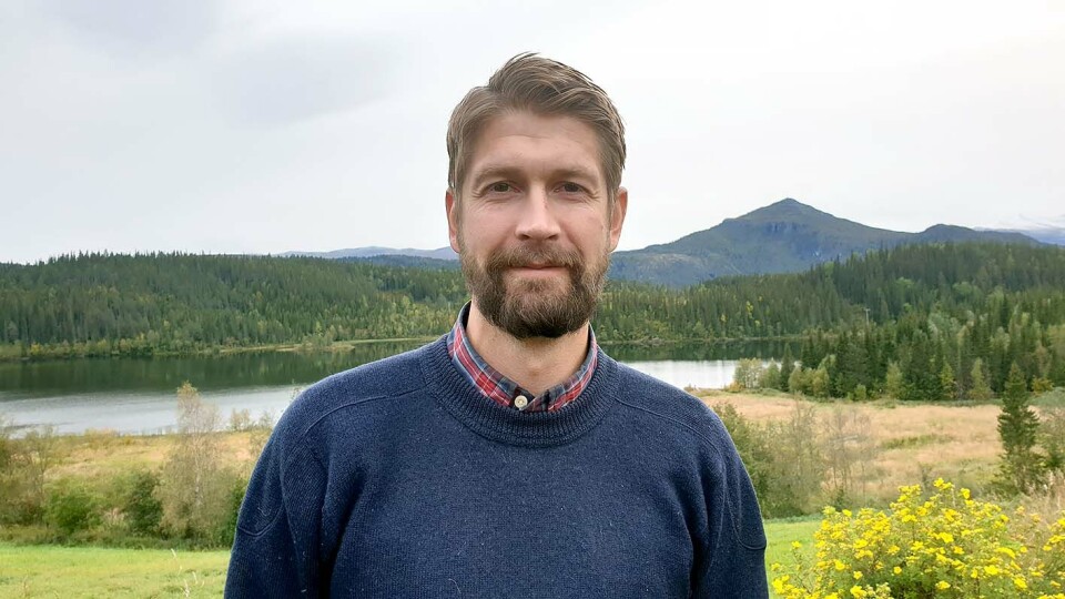Rådmann i Vang