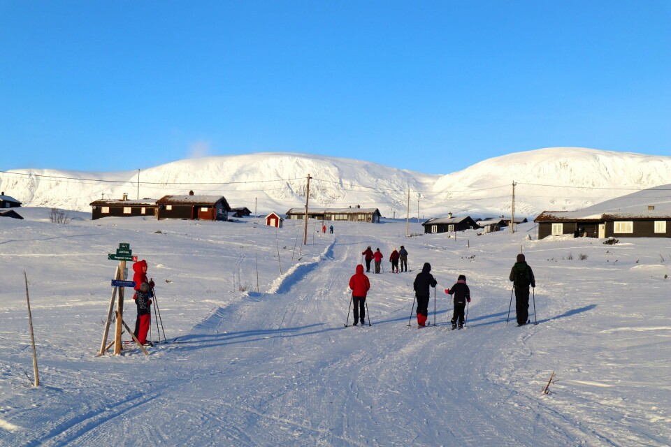 Hytteforbudet er opphevet, og det er ikke lenger forbudt å overnatte på hytta for å gå på ski mot Hallingskarvet. Hytteforbudet er opphevet, og det er ikke lenger forbudt å overnatte på hytta for å gå på ski mot Hallingskarvet.