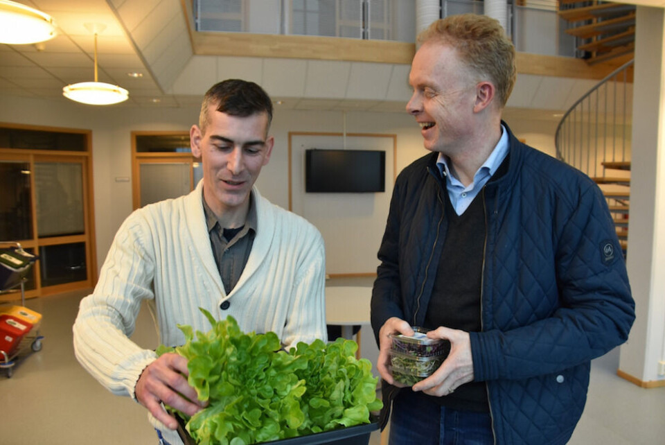 Tugushan Alp (t.v.) har startet salatproduksjon i et tilfluktsrom under jorda i Molde med god hjelp av Jørn Heggertveit i Protomore Kunnskapspark AS. Foto: Møre og Romsdal fylkeskommune Tugushan Alp (t.v.) har startet salatproduksjon i et tilfluktsrom under jorda i Molde med god hjelp av Jørn Heggertveit i Protomore Kunnskapspark AS. Foto: Møre og Romsdal fylkeskommune