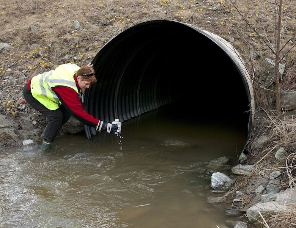 Kommunene har i utgangspunktet alt en nyutdannet ingeniør kan ønske seg av blant annet faglige utfordringer, ordnete lønns- og arbeidsvilkår og fleksibel arbeidstid, skriver Helge Klevengen. Illustrasjonsfoto: Ole Morten Melgård Kommunene har i utgangspunktet alt en nyutdannet ingeniør kan ønske seg av blant annet faglige utfordringer, ordnete lønns- og arbeidsvilkår og fleksibel arbeidstid, skriver Helge Klevengen. Illustrasjonsfoto: Ole Morten Melgård
