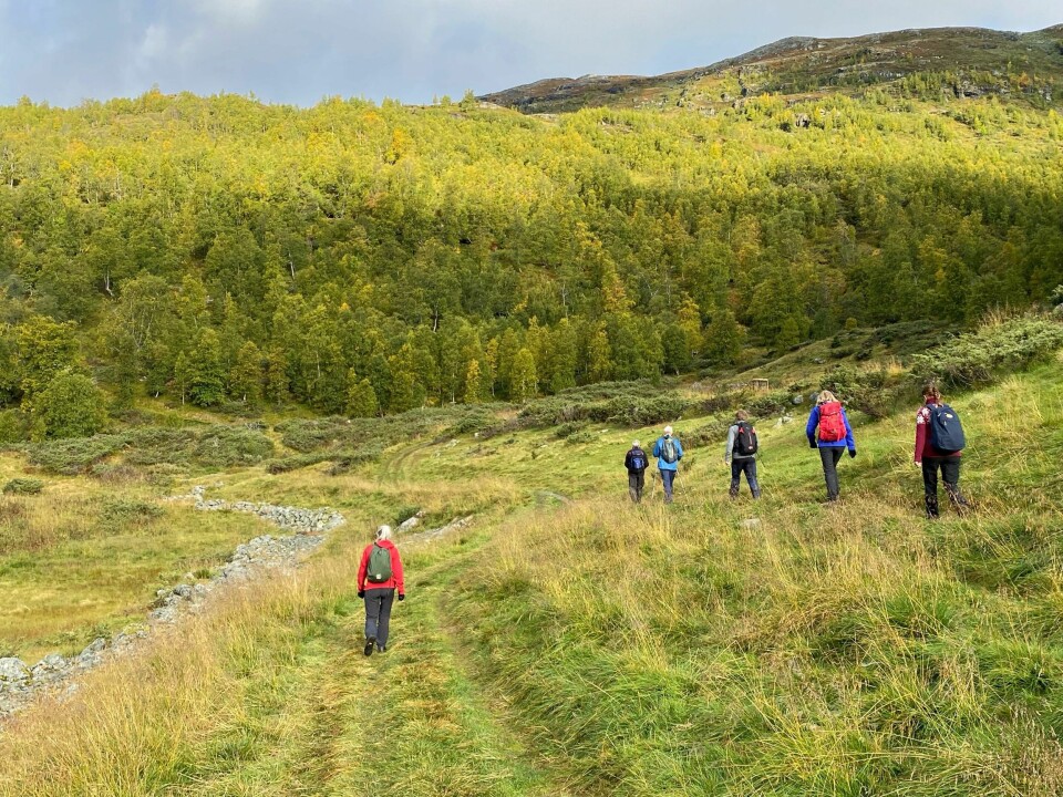 – For de av dere som har tenkt å dra på tur i Norge, er det helt i orden – reis på fjellet eller hytta med god samvittighet, sa helsedirektør Bjørn Guldvåg på regjeringens koronapressekonferanse onsdag ettermiddag. – For de av dere som har tenkt å dra på tur i Norge, er det helt i orden – reis på fjellet eller hytta med god samvittighet, sa helsedirektør Bjørn Guldvåg på regjeringens koronapressekonferanse onsdag ettermiddag.