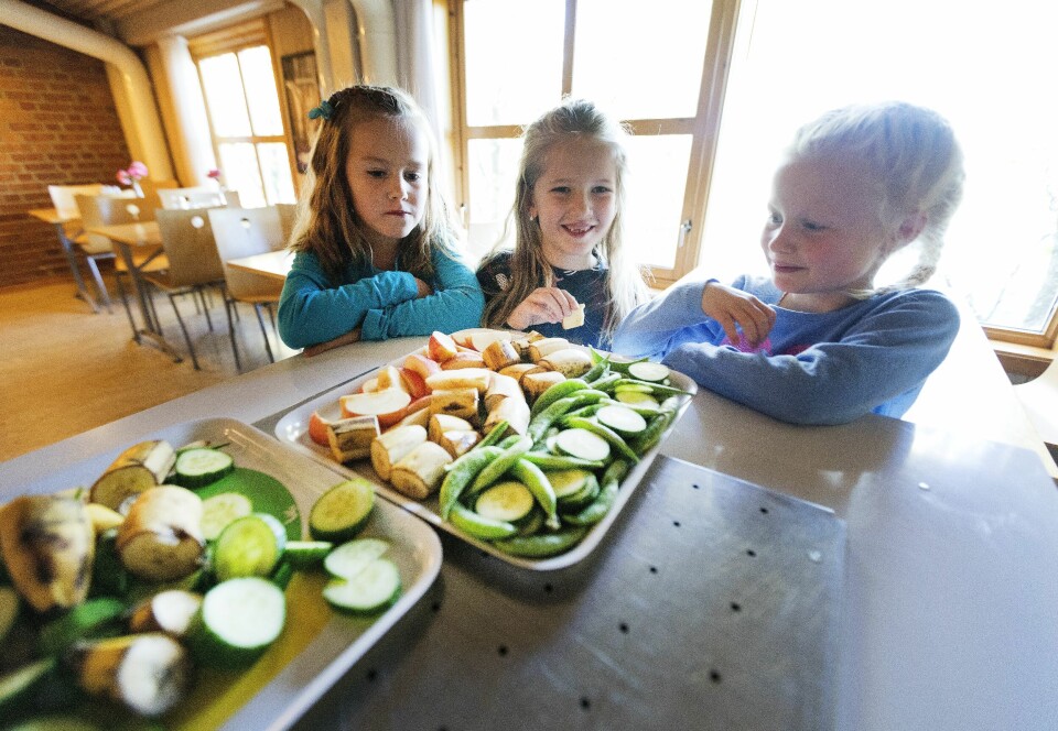 Sunn skolemat er blant tiltakene Norge burde innføre, mener et ekspertpanel med forskere fra Oslo Met. Sunn skolemat er blant tiltakene Norge burde innføre, mener et ekspertpanel med forskere fra Oslo Met.