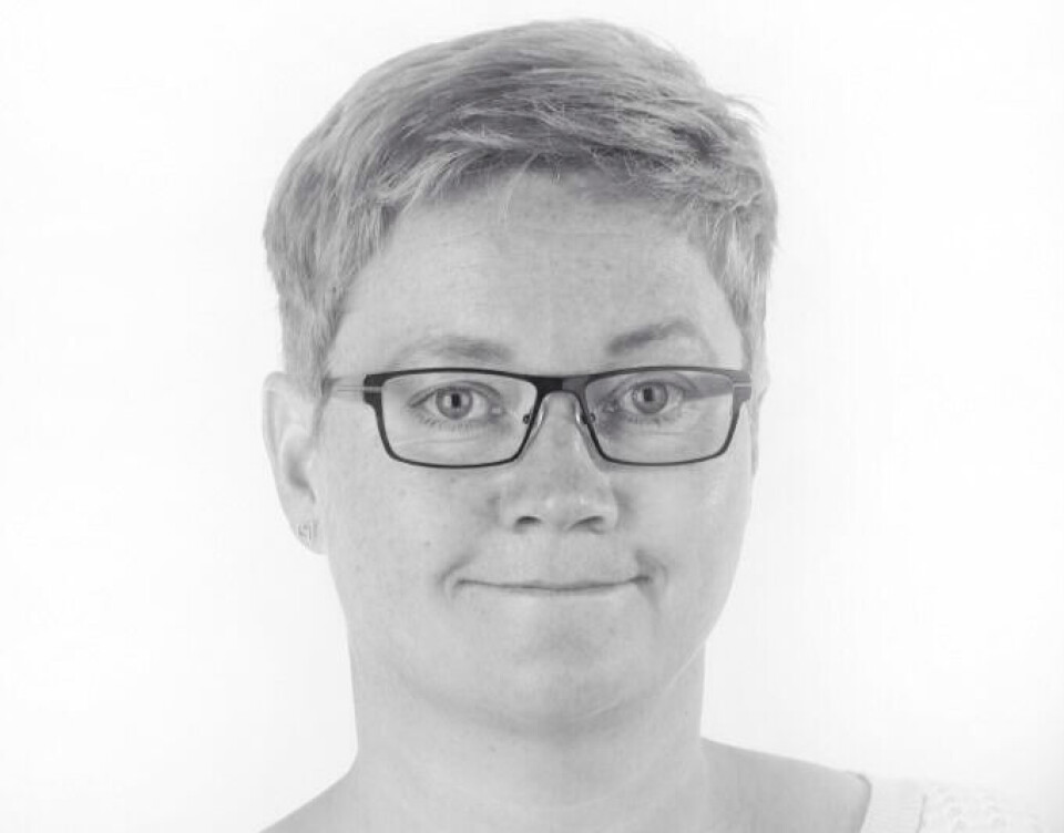 Rådmann i Bardu