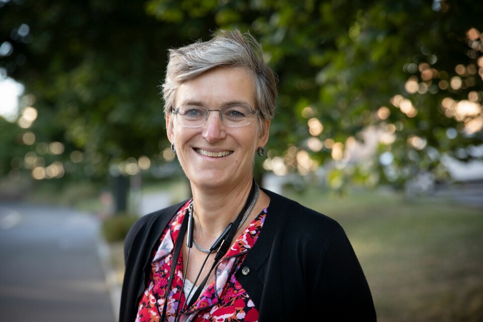 Direktør Ellen Hambro i Miljødirektoratet er klar med støtte til klimatilpassing. Direktør Ellen Hambro i Miljødirektoratet er klar med støtte til klimatilpassing.