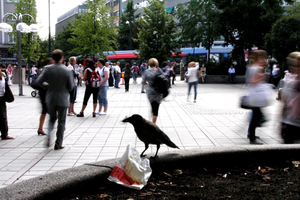 Folket må være med, og for at det skal skje, trengs en holdningsendring, mener Siri Spillum. Illustrasjonsfoto: Thomas Olsen, NTB scanpix Folket må være med, og for at det skal skje, trengs en holdningsendring, mener Siri Spillum. Illustrasjonsfoto: Thomas Olsen, NTB scanpix
