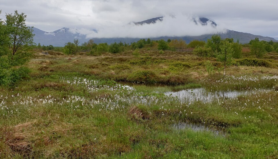 Regjeringen legger 20 millioner i en pott hvor kommunene kan søke om midler til naturtiltak.