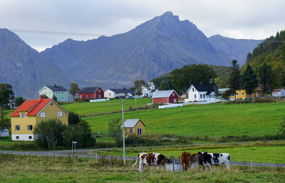 Når alt kjem til alt er Senterpartiet meir oppteken av jordbruksstøtte enn distriktspolitikk. Og jordbruksstøtte er støtte til produksjon, skriv Håvard Teigen.